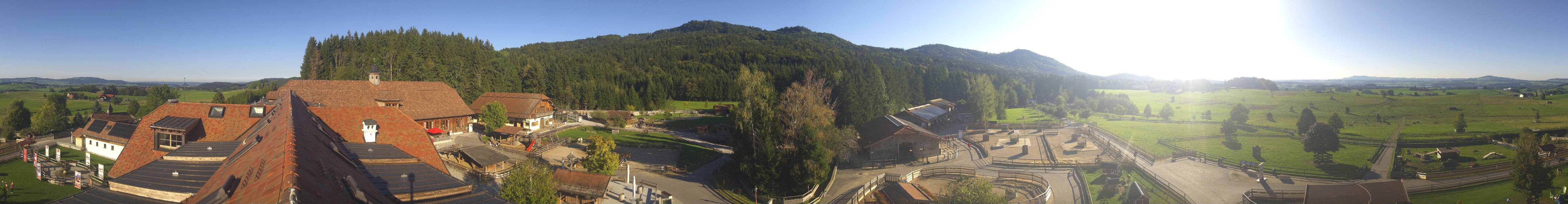 Archiv Foto Webcam Henndorf am Wallersee - Gut Aiderbichl