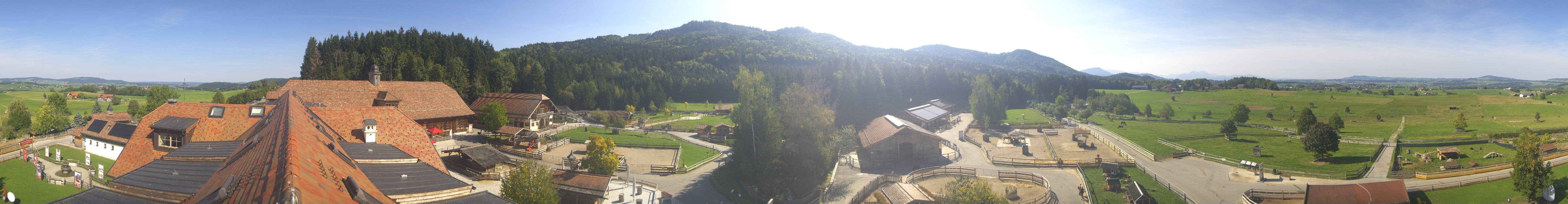 Archiv Foto Webcam Henndorf am Wallersee - Gut Aiderbichl