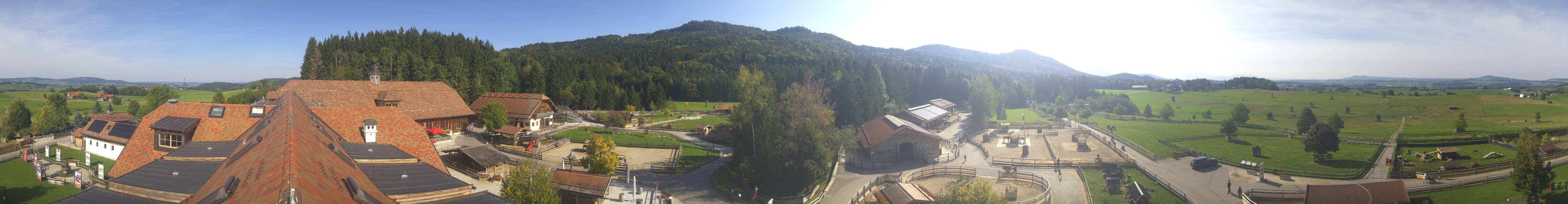 Archiv Foto Webcam Henndorf am Wallersee - Gut Aiderbichl