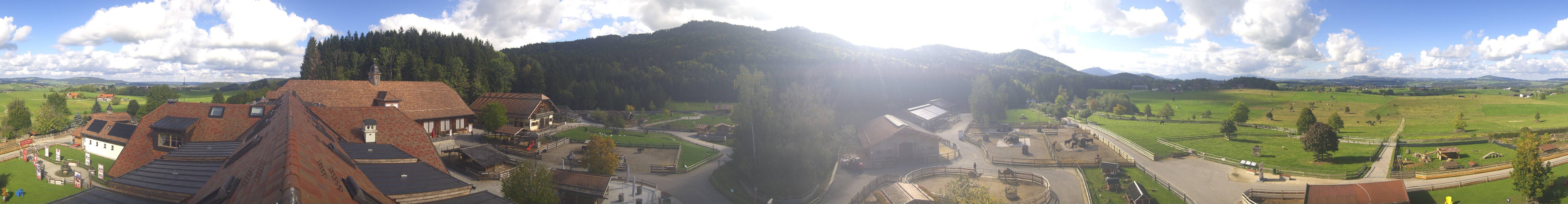 Archiv Foto Webcam Henndorf am Wallersee - Gut Aiderbichl