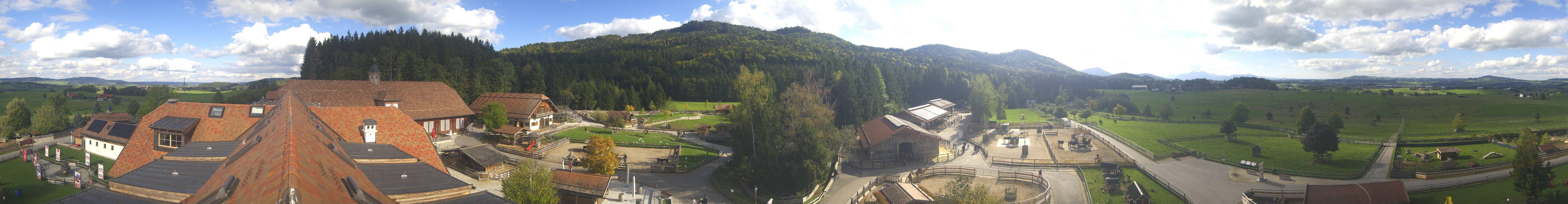 Archiv Foto Webcam Henndorf am Wallersee - Gut Aiderbichl