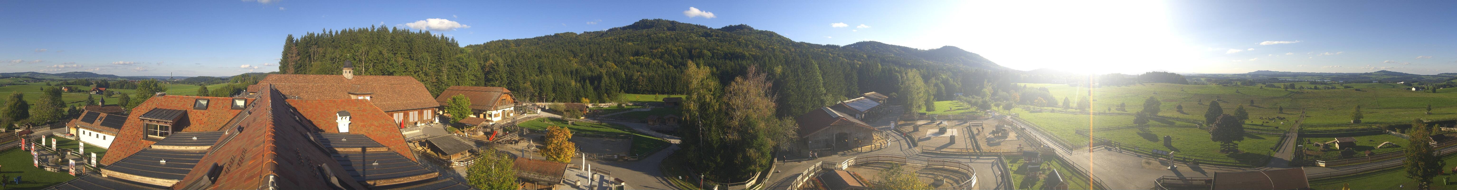 Archiv Foto Webcam Henndorf am Wallersee - Gut Aiderbichl