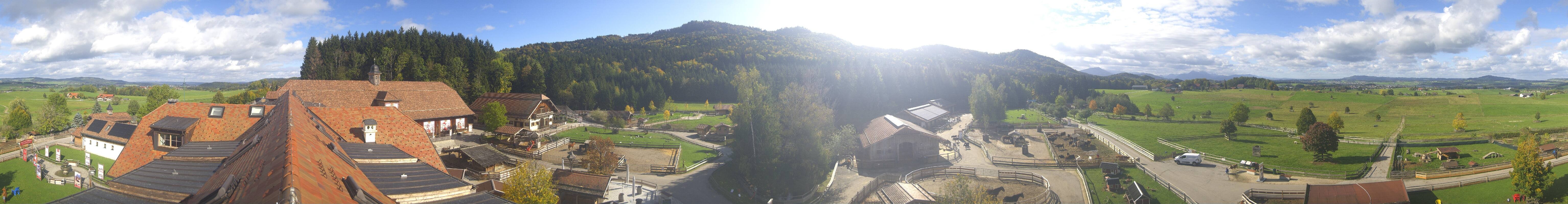 Archiv Foto Webcam Henndorf am Wallersee - Gut Aiderbichl