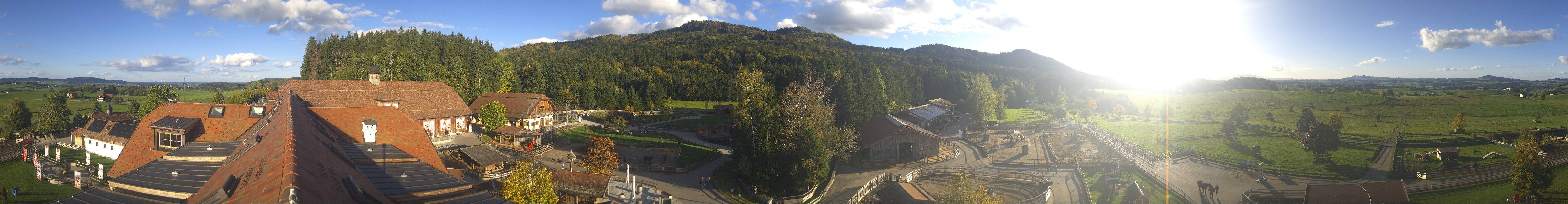 Archiv Foto Webcam Henndorf am Wallersee - Gut Aiderbichl