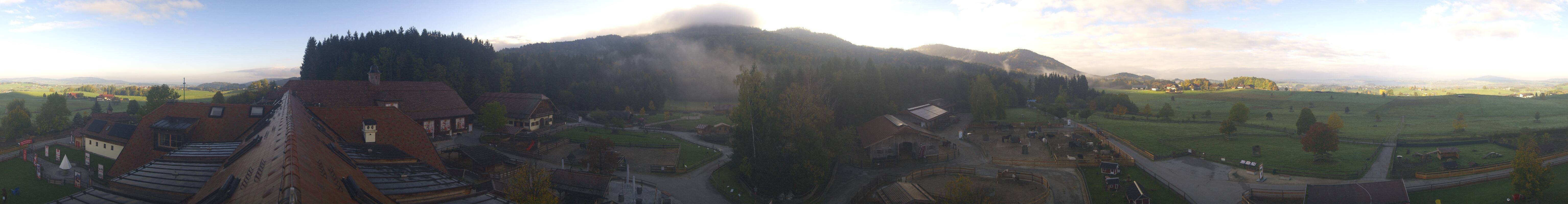 Archiv Foto Webcam Henndorf am Wallersee - Gut Aiderbichl