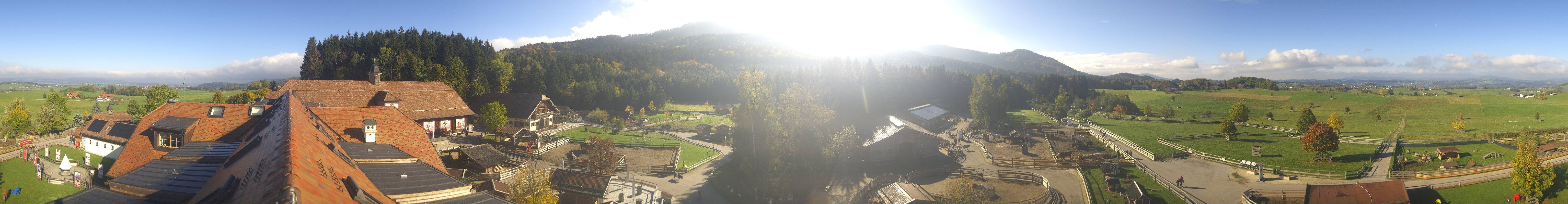 Archiv Foto Webcam Henndorf am Wallersee - Gut Aiderbichl
