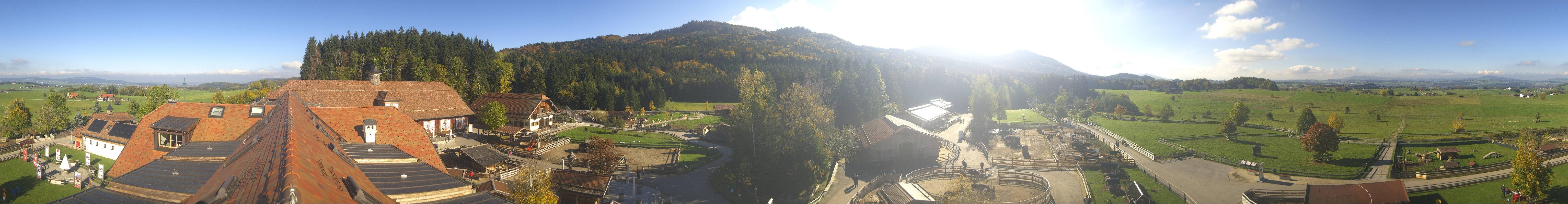 Archiv Foto Webcam Henndorf am Wallersee - Gut Aiderbichl