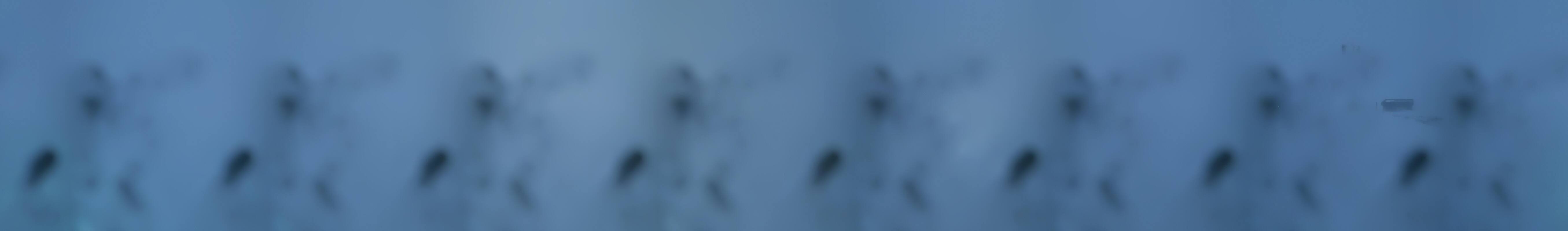 Archiv Foto Webcam Seefeld Rosshütte - Bergstation Seefelder Joch