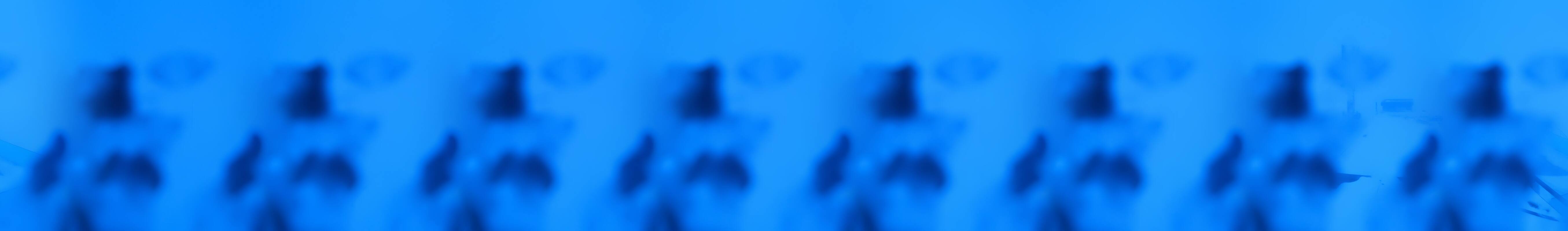 Archiv Foto Webcam Seefeld Rosshütte - Bergstation Seefelder Joch