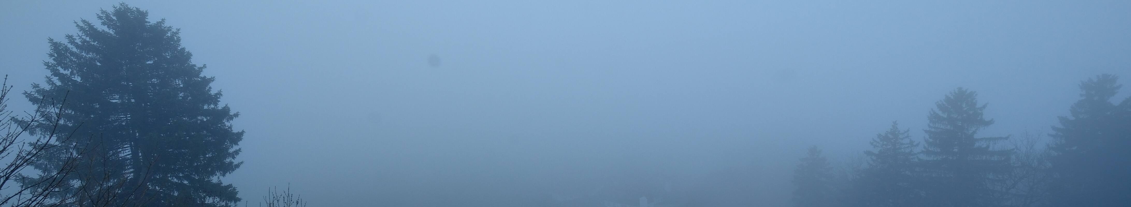 Archiv Foto Webcam Halblech - Blick über Buching