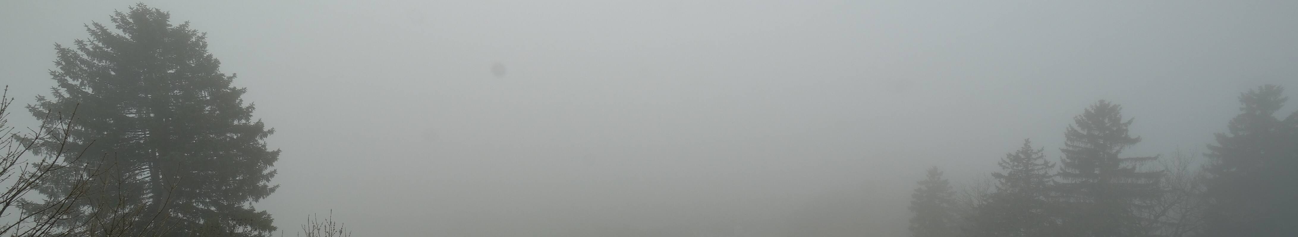 Archiv Foto Webcam Halblech - Blick über Buching