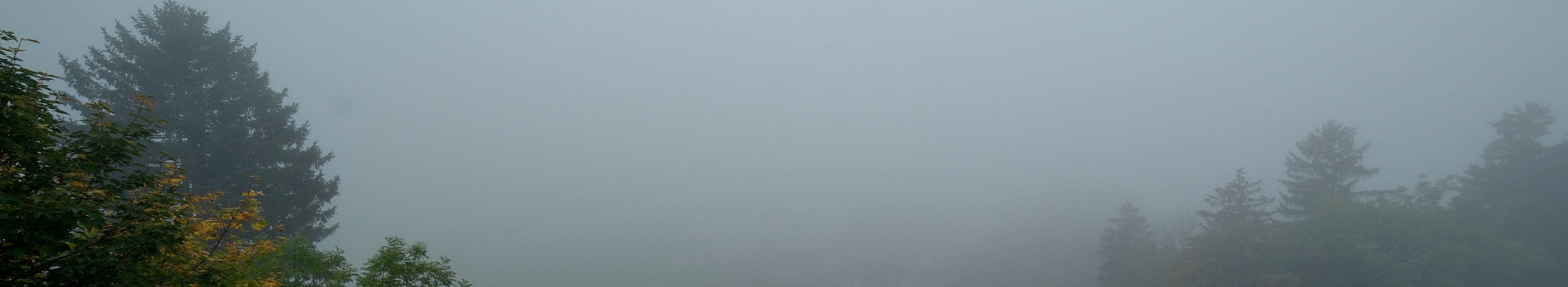 Archiv Foto Webcam Halblech - Blick über Buching
