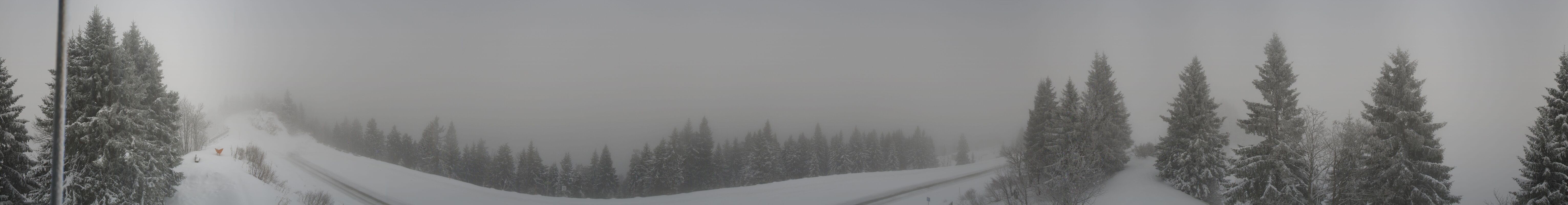 Archiv Foto Webcam Berchtesgaden - Rossfeld Panoramastraße