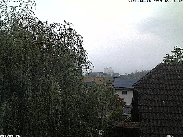 Archived image Webcam View Castle Wildegg