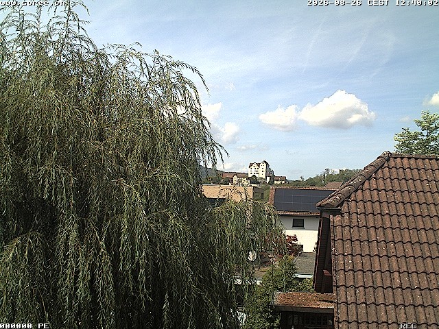 Archived image Webcam View Castle Wildegg