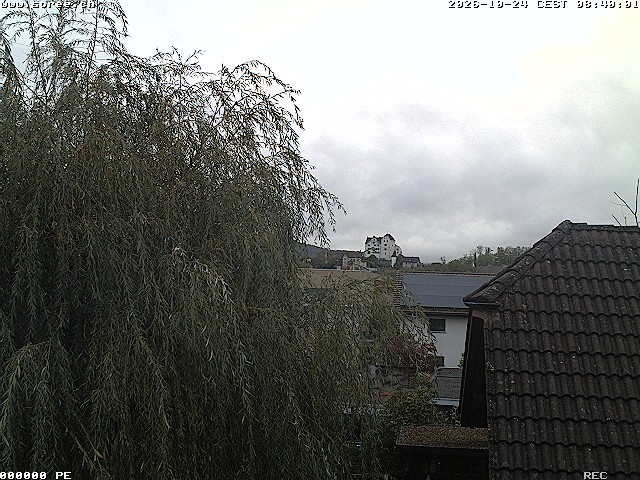 Archived image Webcam View Castle Wildegg