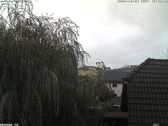 Archived image Webcam View Castle Wildegg
