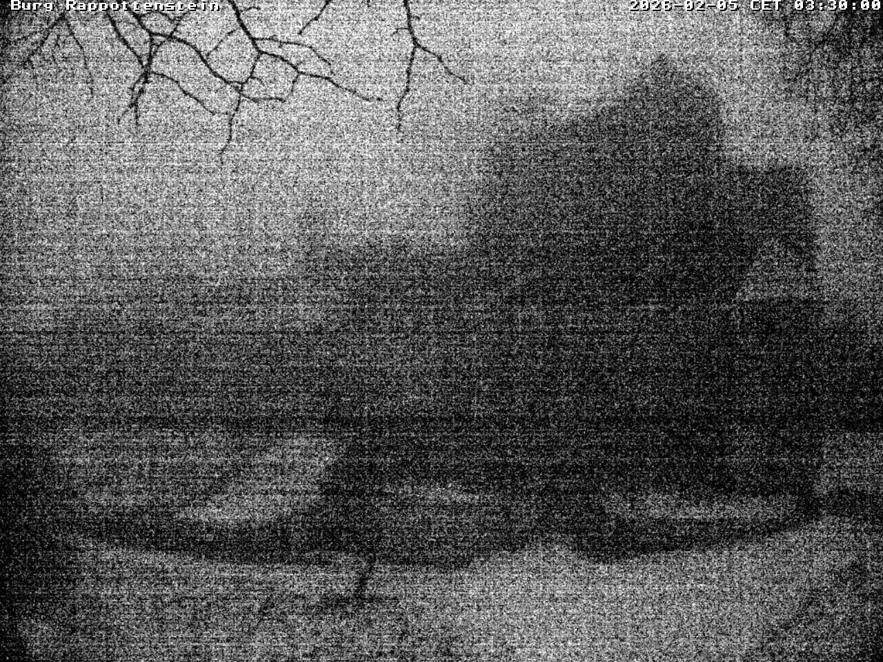 Archiv Foto Webcam Burg Rappottenstein