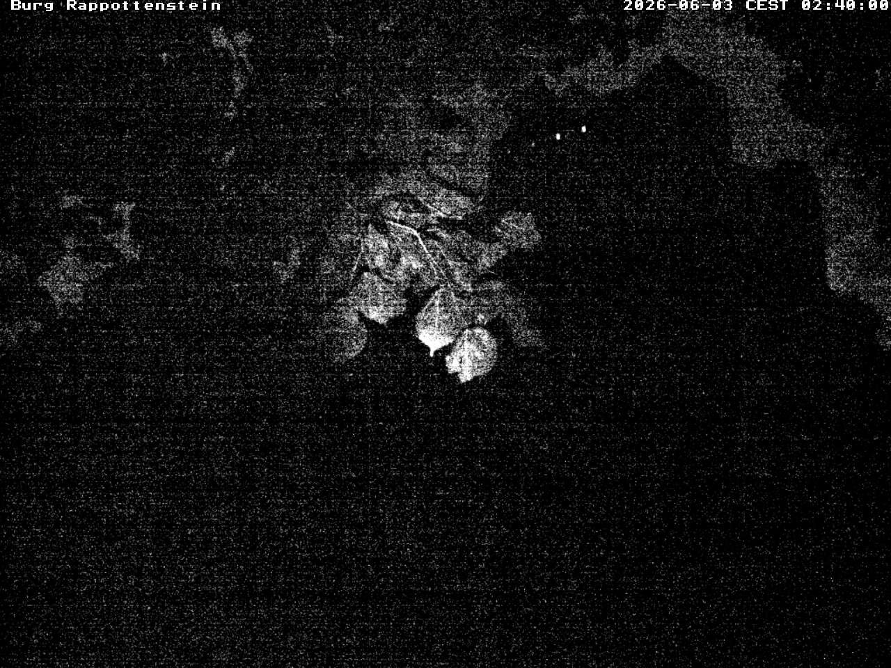 Archiv Foto Webcam Burg Rappottenstein