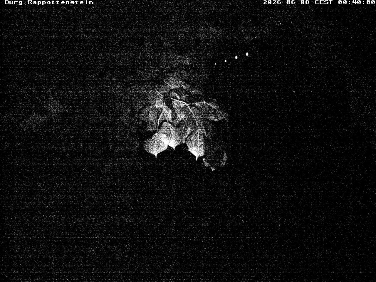 Archiv Foto Webcam Burg Rappottenstein
