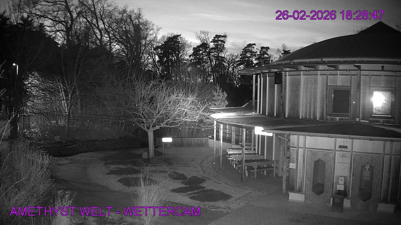 Archived image Webcam Maissau - Amethyst World