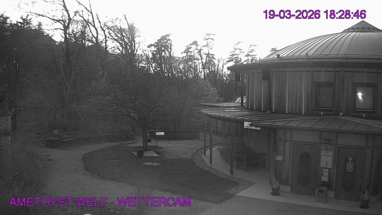 Archiv Foto Webcam Maissau - Amethyst Welt