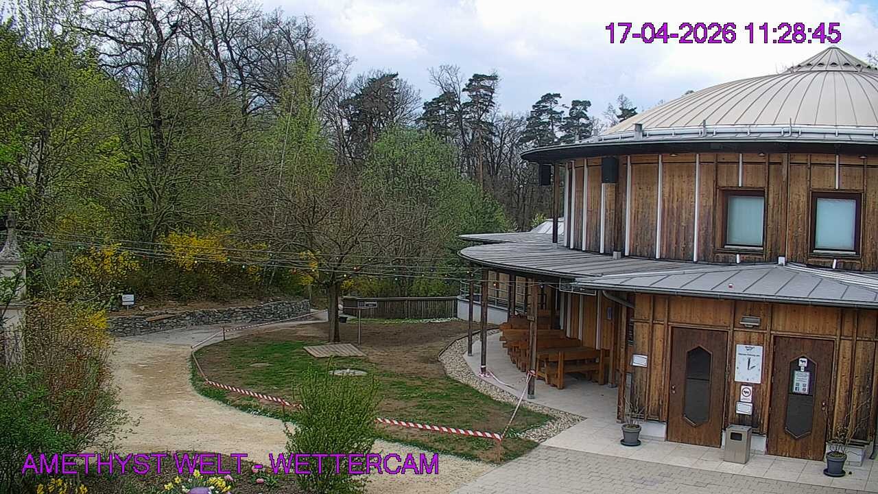 Archiv Foto Webcam Maissau - Amethyst Welt