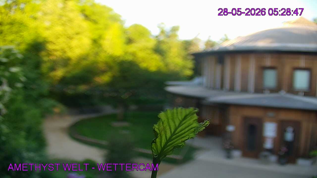 Archiv Foto Webcam Maissau - Amethyst Welt