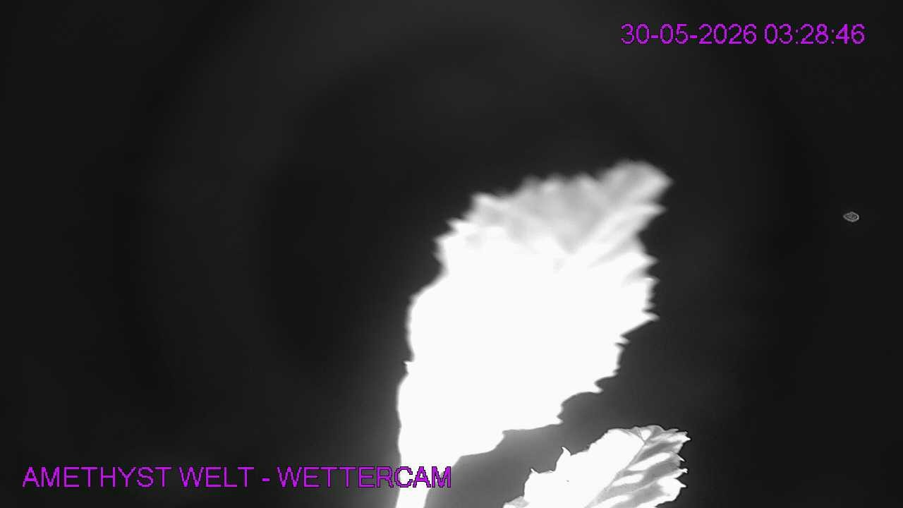 Archiv Foto Webcam Maissau - Amethyst Welt