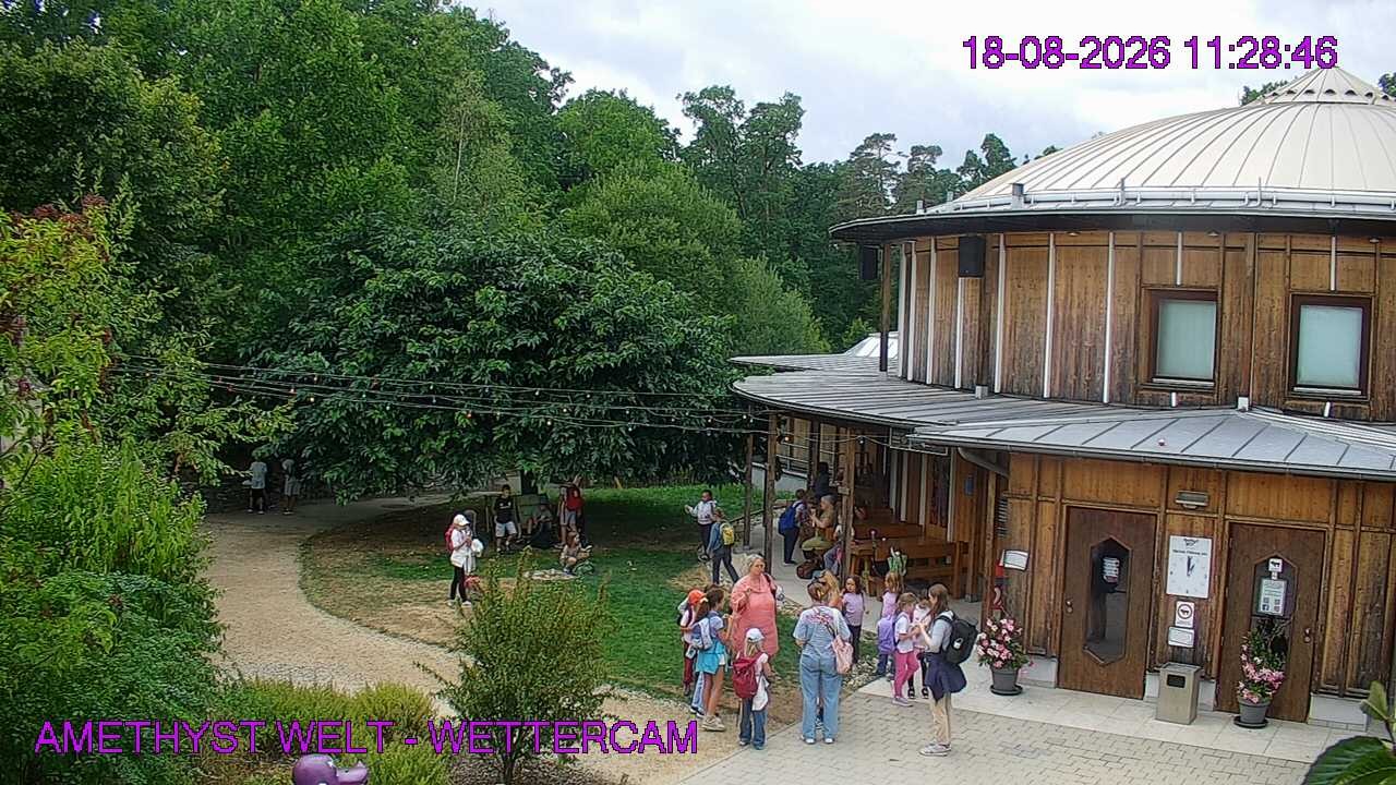Archiv Foto Webcam Maissau - Amethyst Welt