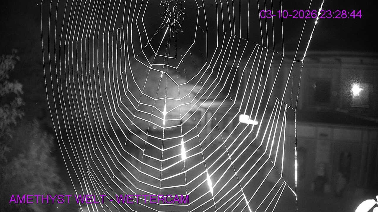 Archiv Foto Webcam Maissau - Amethyst Welt