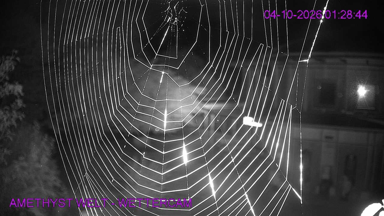 Archiv Foto Webcam Maissau - Amethyst Welt