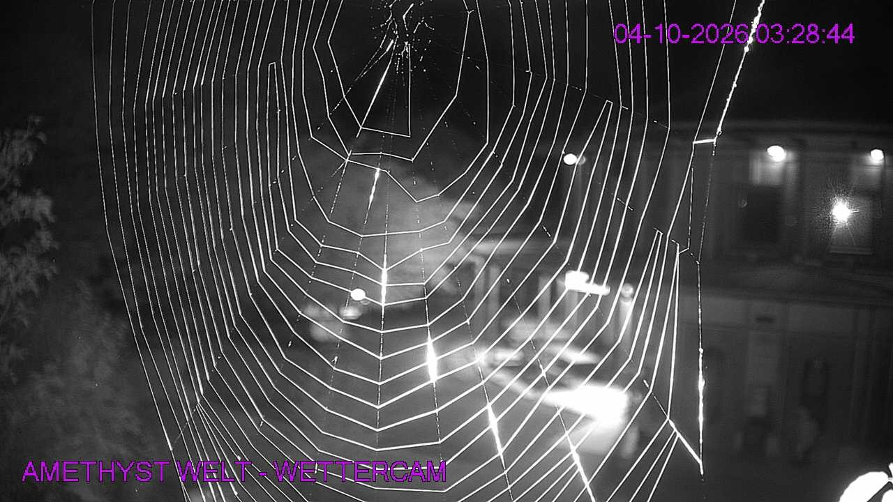 Archiv Foto Webcam Maissau - Amethyst Welt