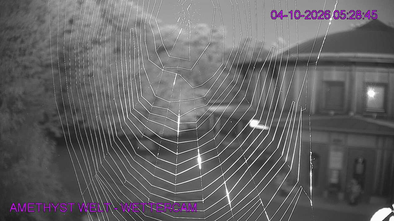 Archiv Foto Webcam Maissau - Amethyst Welt