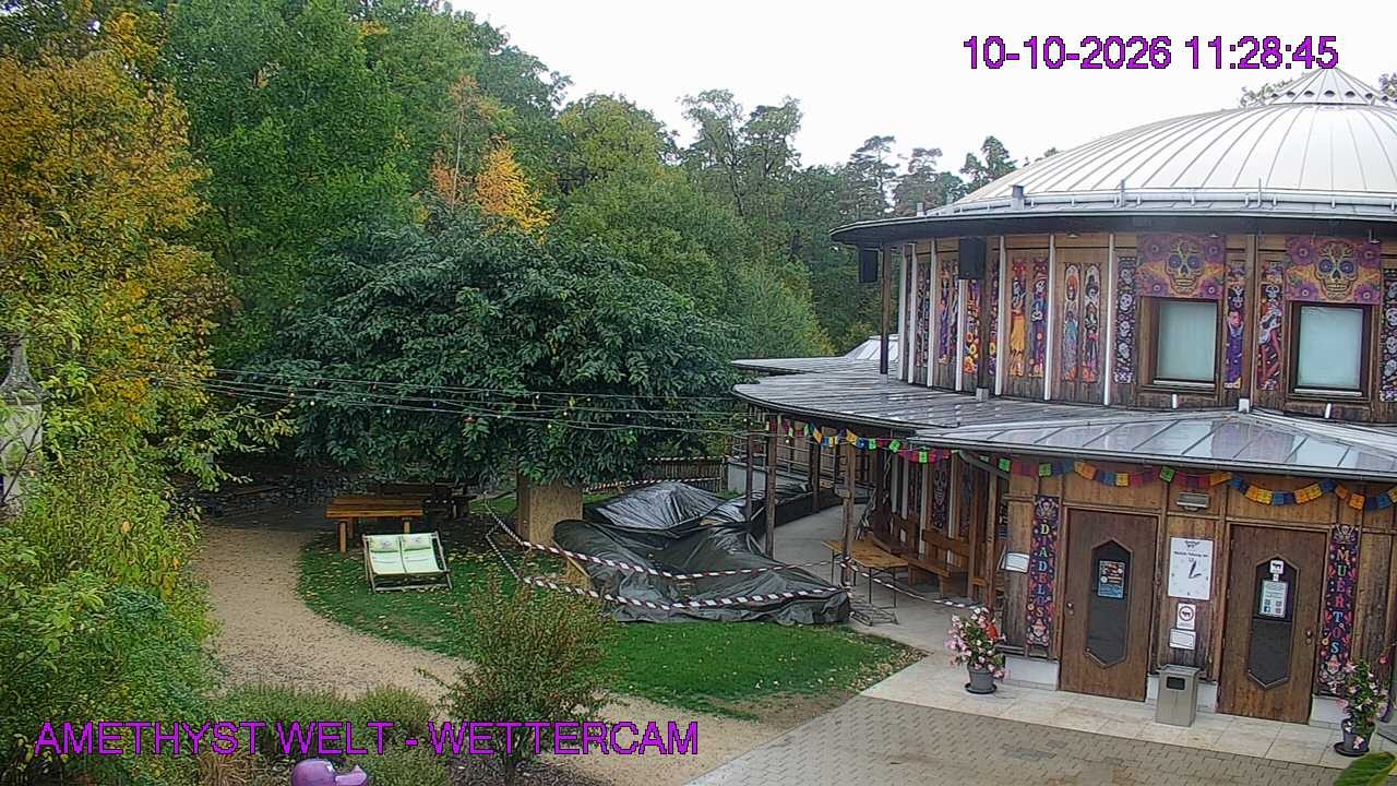 Archived image Webcam Maissau - Amethyst World