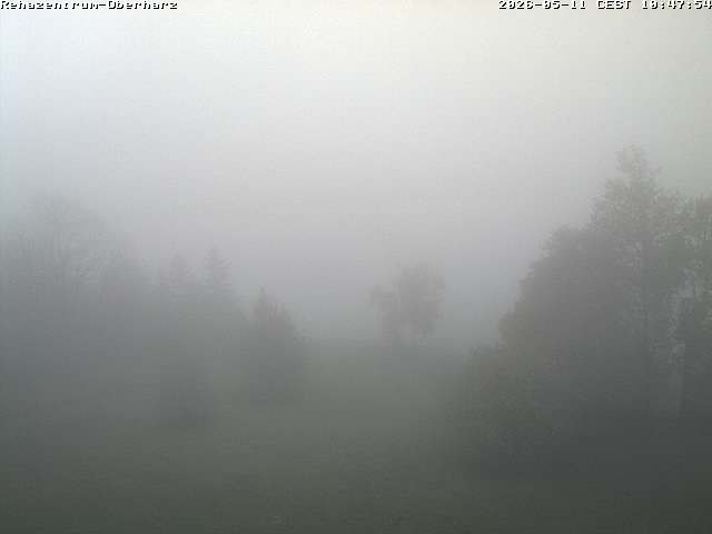 Archiv Foto Webcam Rehazentrum Oberharz in Clausthal