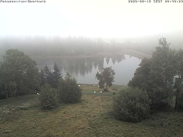 Archiv Foto Webcam Rehazentrum Oberharz in Clausthal