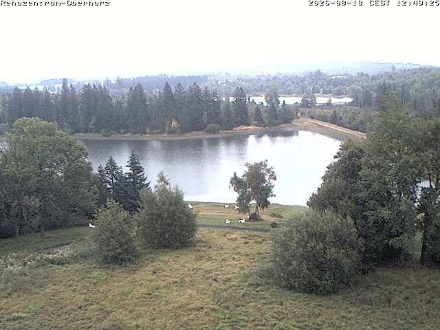Archiv Foto Webcam Rehazentrum Oberharz in Clausthal