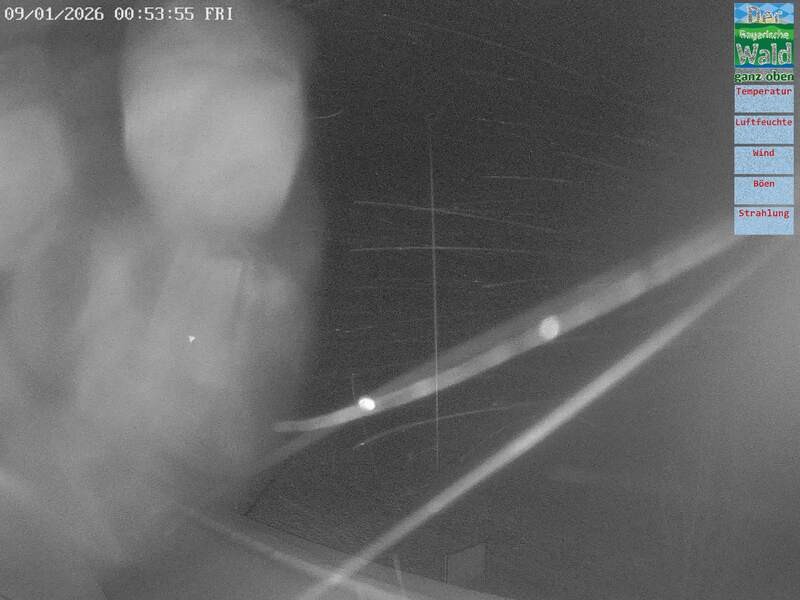 Archived image Webcam DSV Nordic Aktivzentrum Waldmünchen-Althütte - East