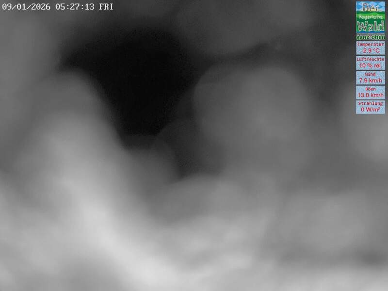 Archived image Webcam DSV Nordic Aktivzentrum Waldmünchen-Althütte - East