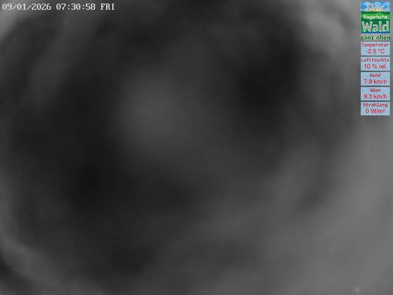 Archived image Webcam DSV Nordic Aktivzentrum Waldmünchen-Althütte - East