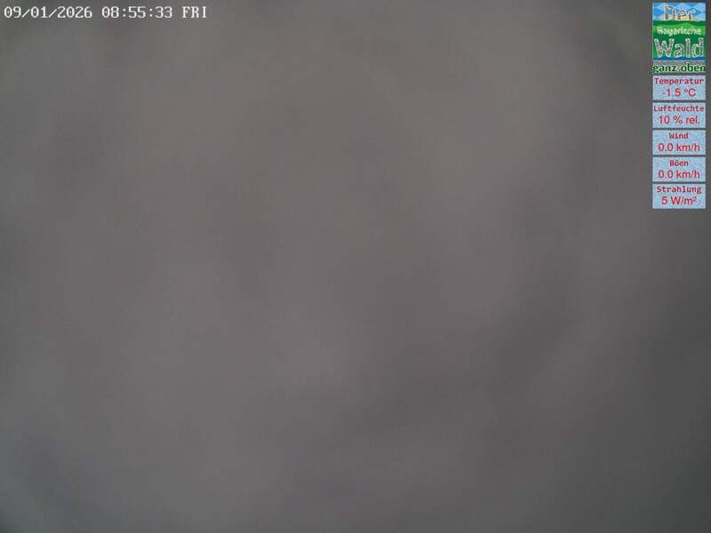 Archived image Webcam DSV Nordic Aktivzentrum Waldmünchen-Althütte - East