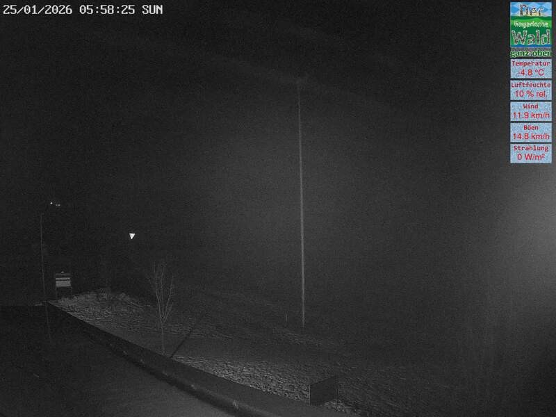 Archiv Foto Webcam DSV Nordic Aktivzentrum Waldmünchen-Althütte - Osten