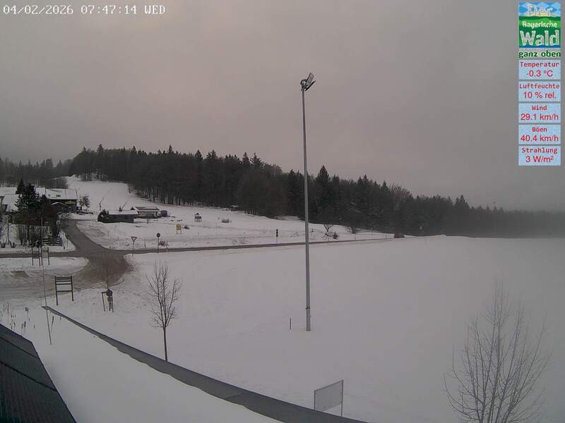 Archiv Foto Webcam DSV Nordic Aktivzentrum Waldmünchen-Althütte - Osten