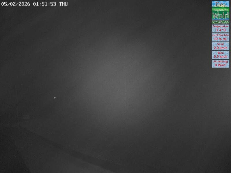 Archiv Foto Webcam DSV Nordic Aktivzentrum Waldmünchen-Althütte - Osten