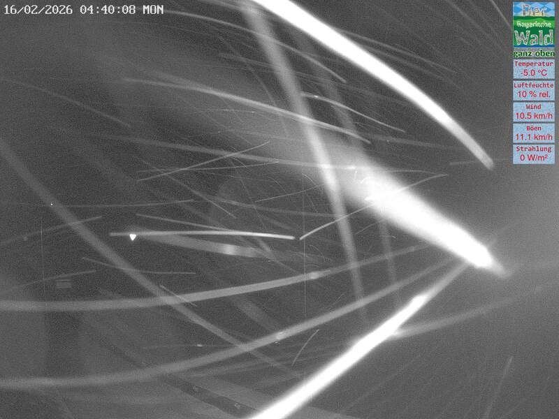 Archiv Foto Webcam DSV Nordic Aktivzentrum Waldmünchen-Althütte - Osten