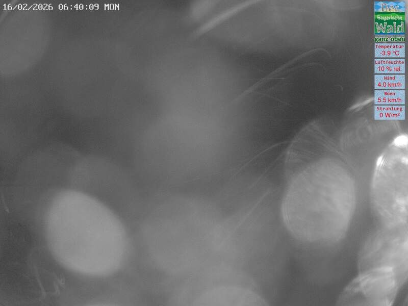 Archiv Foto Webcam DSV Nordic Aktivzentrum Waldmünchen-Althütte - Osten