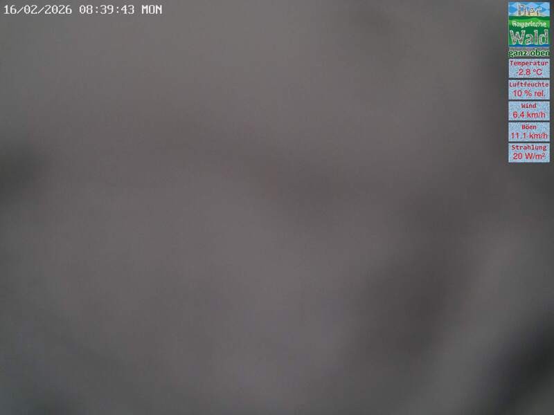 Archiv Foto Webcam DSV Nordic Aktivzentrum Waldmünchen-Althütte - Osten