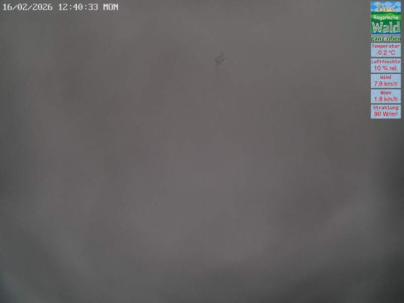 Archiv Foto Webcam DSV Nordic Aktivzentrum Waldmünchen-Althütte - Osten