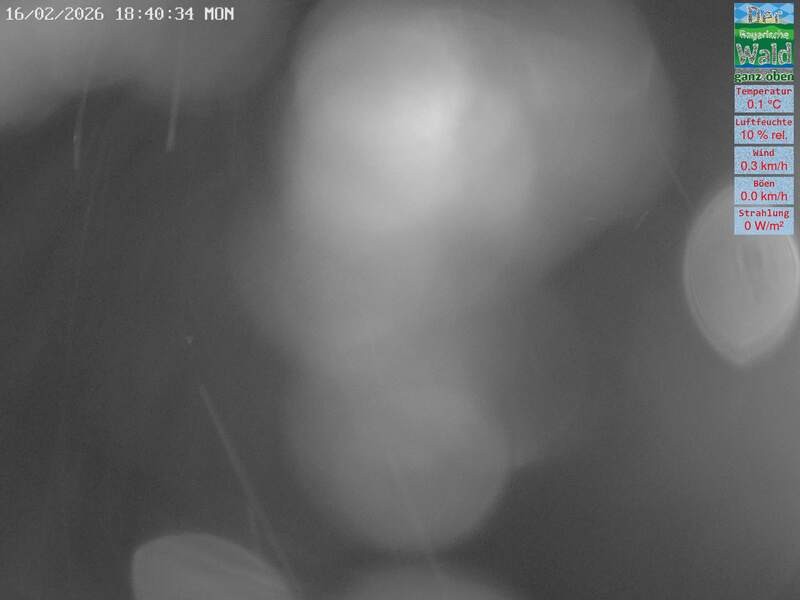 Archiv Foto Webcam DSV Nordic Aktivzentrum Waldmünchen-Althütte - Osten